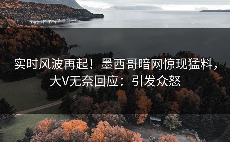 实时风波再起！墨西哥暗网惊现猛料，大V无奈回应：引发众怒